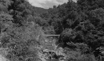 Trestle Bridge House - 4 February 1970 -