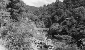 Trestle Bridge House - 4 February 1970 - Wellington City Council Archives, 00158-4046-a (sheet 9826a)