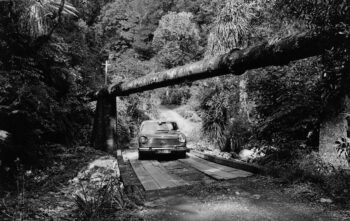 Orongorongo Pipeline - L3341 - Wainuiomata Historical Museum Society L3341