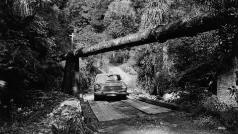 Orongorongo Pipeline - L3341 - Wainuiomata Historical Museum Society L3341