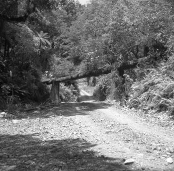 Orongorongo Pipeline - 13 December 1963 - Wellington City Council Archives, 00158-1455-f (sheet 3228b)