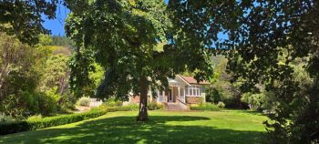 St Albans - 2025 - © wainuiomata.net