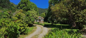 St Albans - 2025 - © wainuiomata.net