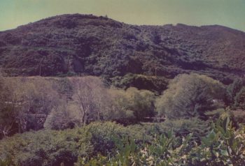 Wainuiomata Quarry - 1985 - Photographer: Jeremy Foster