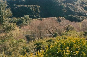 Wainuiomata Quarry - 1994 - Photographer: Jeremy Foster