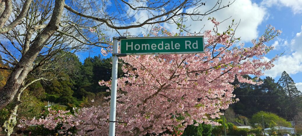 Hine Road Sign - 2025 - © wainuiomata.net