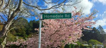 Hine Road Sign - 2025 - © wainuiomata.net