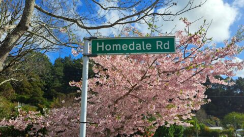 Hine Road Sign - 2025 - © wainuiomata.net