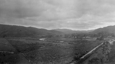 Farmland in south Homedale - looking north towards the Village from the Coast Rd - School, school house & Hall right centre - WOA Development photo c1941 - WHMS: L3249