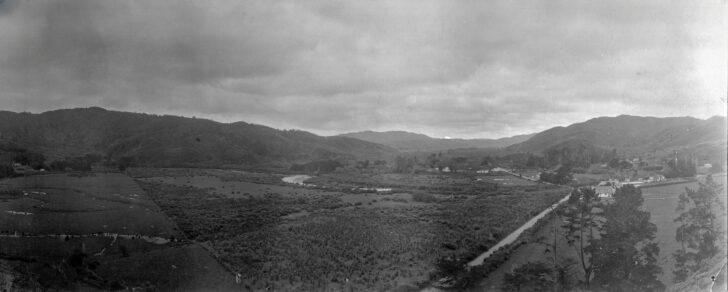 Farmland in south Homedale - looking north towards the Village from the Coast Rd - School, school house & Hall right centre - WOA Development photo c1941 - WHMS: L3249
