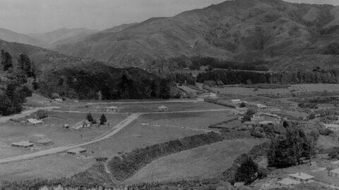 Homedale Wainuiomata in 1945