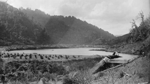 Lower Dam - Alexander Turnbull Library, Wellington, New Zealand - March 1888 - Reference 1/2-004089-G