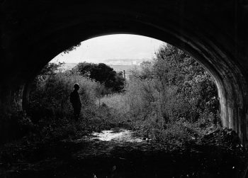 L3714 Looking out of Wainuiomata Tunnel towards Gracefield - 1960s WHMS: L3714