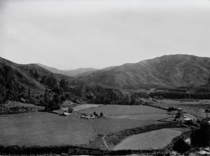 Homedale 1940 showing farms with Wainuiomata School to the right