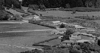 Homedale in 1945 - Wainuiomata Historical Museum Society