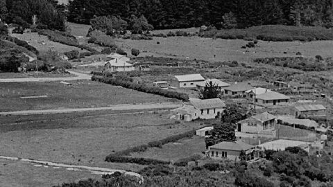 Homedale in 1945 - Wainuiomata Historical Museum Society