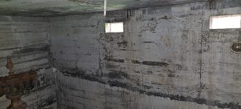 O-K Main Kinney Strainer Chamber - 2025 - © wainuiomata.net