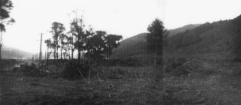 Site for the Bowling Club and Wainuiomata Baths, Moohan St, WOA, being cleared - c1965 - WHMS: L3009