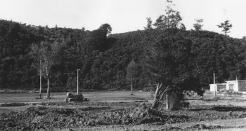 Bowling Green Site (foreground); Baths site (background), Moohan St, WOA - 1964- WHMS: L3215