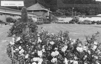 Rose gardens at Baths complex - 1987 - WHMS: L3219