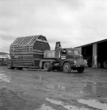 Micro Strainer - 17 November 1966 - Wellington City Council Archives, 00158-2581-l (sheet 6051b)