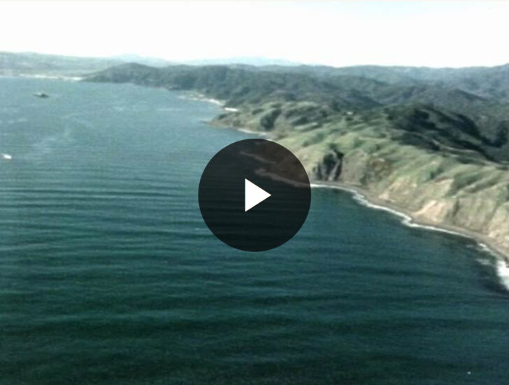 Establishing Pastoralism