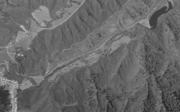 Gums Loop Meadow Aerial 1961 Wainuiomata License: LINZ CC-BY 4.0