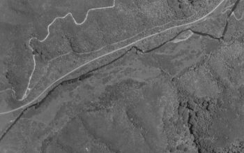Gums Loop Meadow Aerial 1962 Wainuiomata License: LINZ CC-BY 4.0