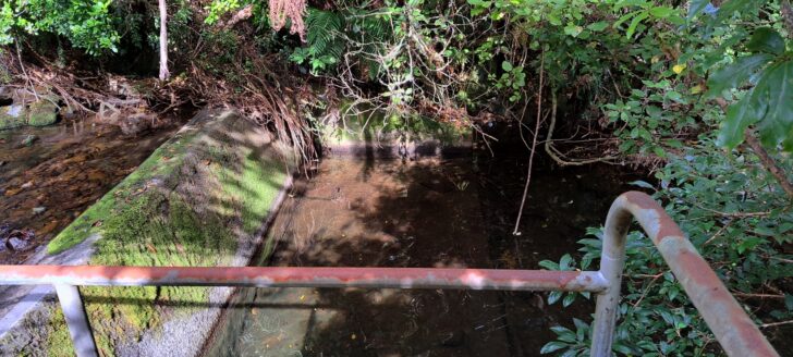 Small Weir on George Creek - 2024 - © wainuiomata.net