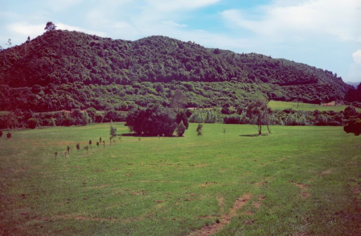 Hine Road Recreation Area in 1989 - © wainuiomata.net
