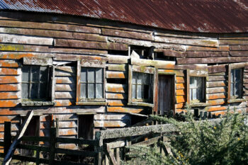 Cobb Barn Wainuiomata