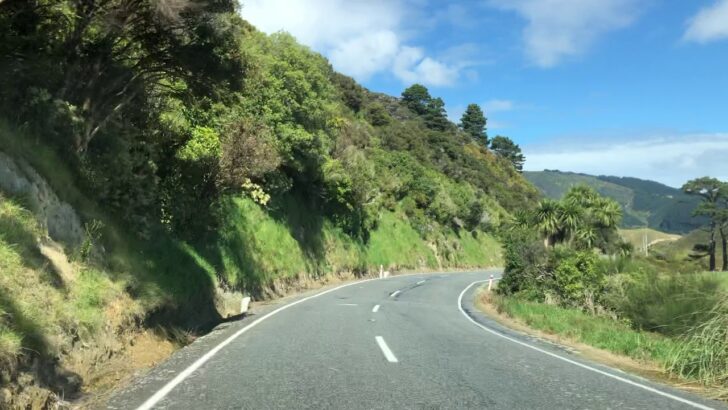 Wainuiomata Drive-Through in 2019