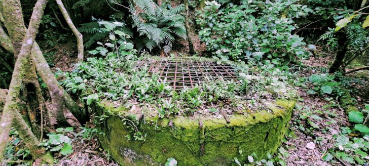 Colemans Tunnel & Pressure Well - 2023 - © wainuiomata.net