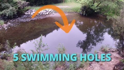 5 swimming holes in Wainuiomata