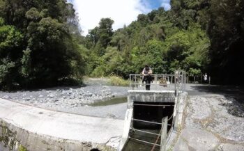 Weir in the Orongorongo Valley