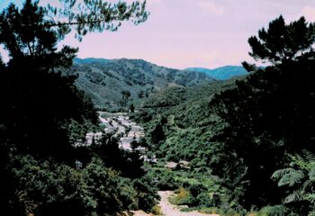 Sunny Grove from Mount Crowther Track - 1988 - © Jeremy Foster