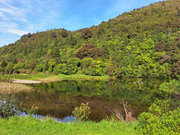 Wainuiomata Lower Dam Area - 2022 - © wainuiomata.net
