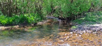 Wainuiomata Stream & Wainuiomata River