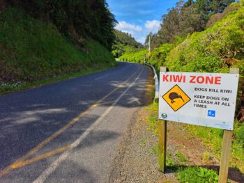 Kiwi Zone Wainuiomata Regional Park - 2023 - © wainuiomata.net