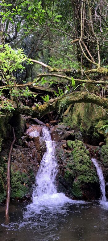 Waterfall at Skerretts Creek - 2023 - © wainuiomata.net