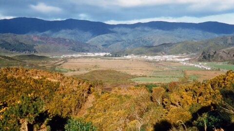View of Wainuiomata Valley circa 1958. Photographer: Derek Simpson