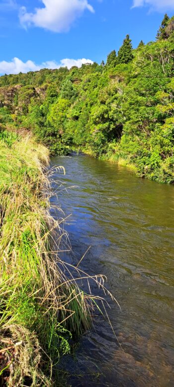 Upper Wainuiomata River in 2023 - © wainuiomata.net