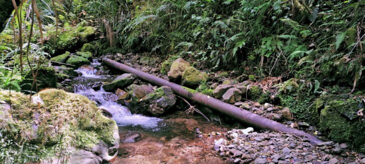 Skerretts Creek and Pipe - 2023 - © wainuiomata.net