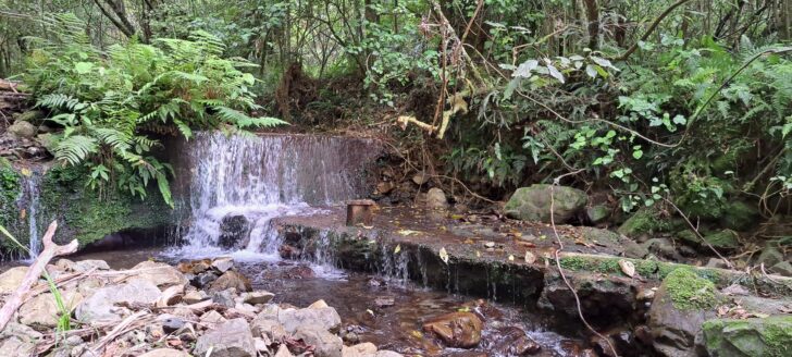 Lower Weir at Skerretts Creek - 2023 - © wainuiomata.net