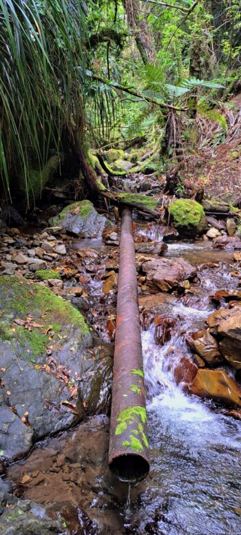 Pipe at Skerretts Creek - 2023 - © wainuiomata.net