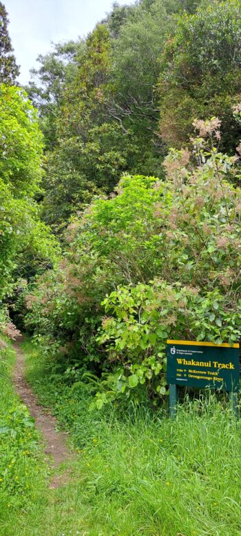 Whakanui Track Signpost - 2023 - © wainuiomata.net