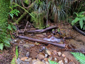 Broken Pipe in Skerretts Creek in 2023 - © wainuiomata.net