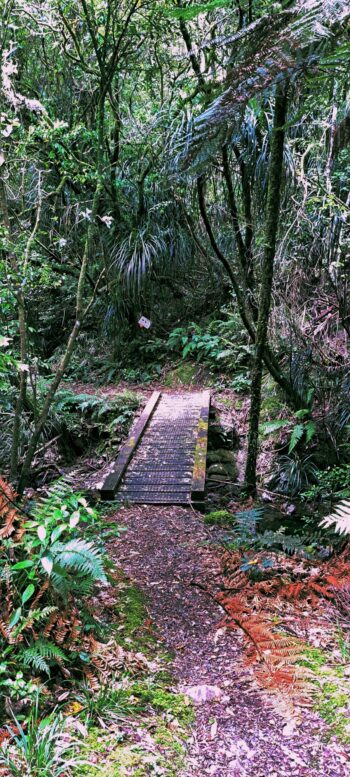Small Footbridge on the Whakanui Track - 2023 - © wainuiomata.net