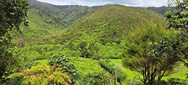 Aerial View of the Wainuiomata River - 2023 - © wainuiomata.net