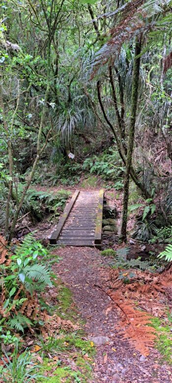 Small Foot Bridge on the Whakanui Track - 2023 - © wainuiomata.net